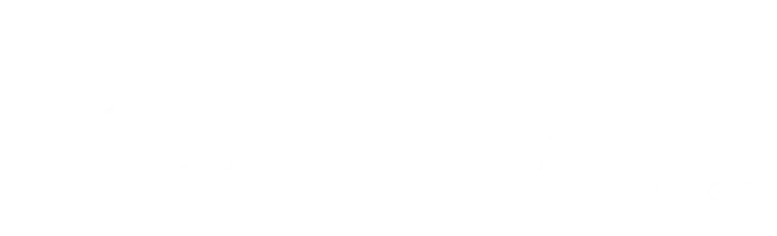 Air France Policies